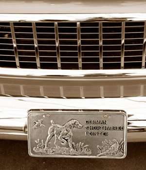 Metal Dog License Plates