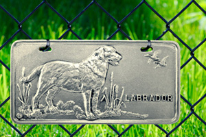 Dog License Plates
